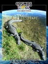 Alligator